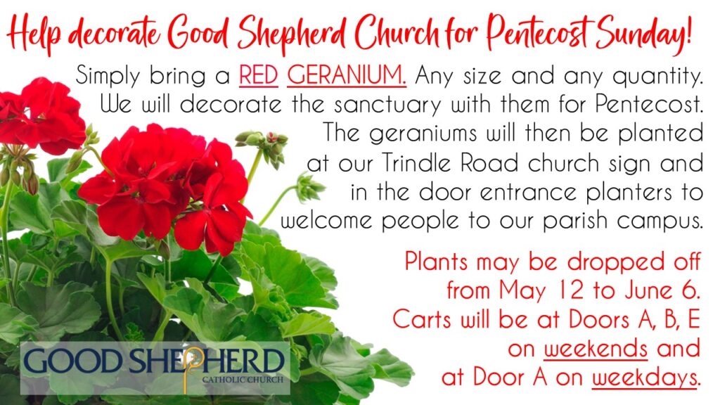 Pentecost Sunday Decorations