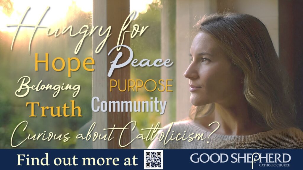 Curious about Catholicism?