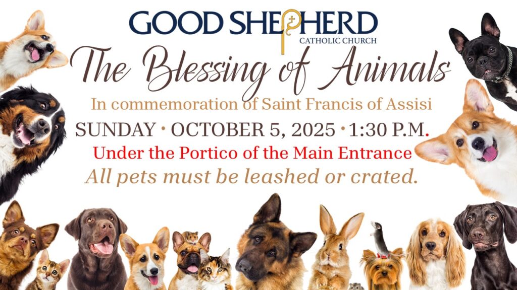 Blessing of Animals