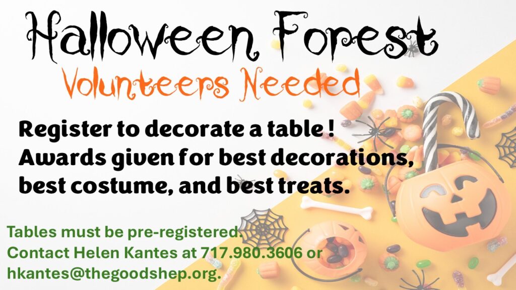 Fall Family Festival — Halloween Forest
