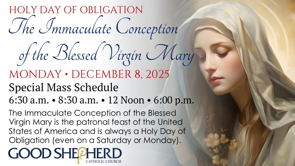 The Immaculate Conception of the Blessed Virgin Mary