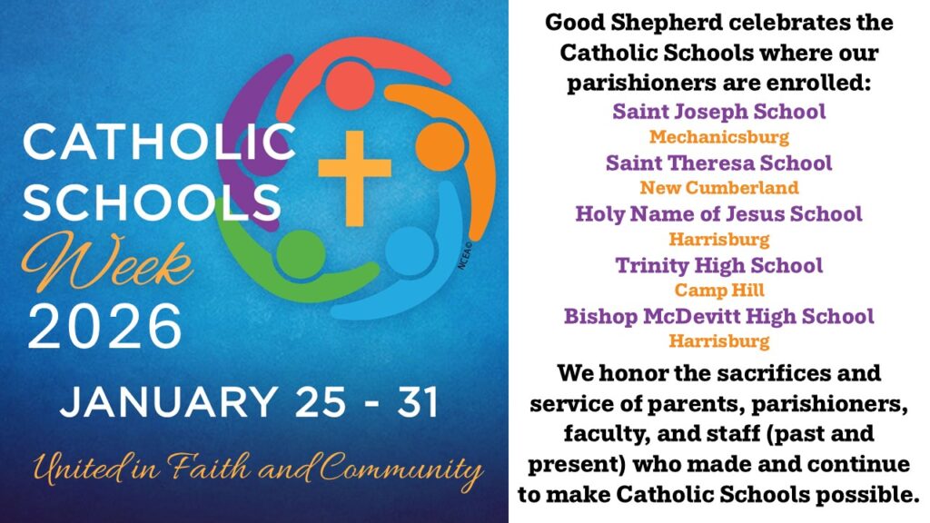 Catholic Schools Week