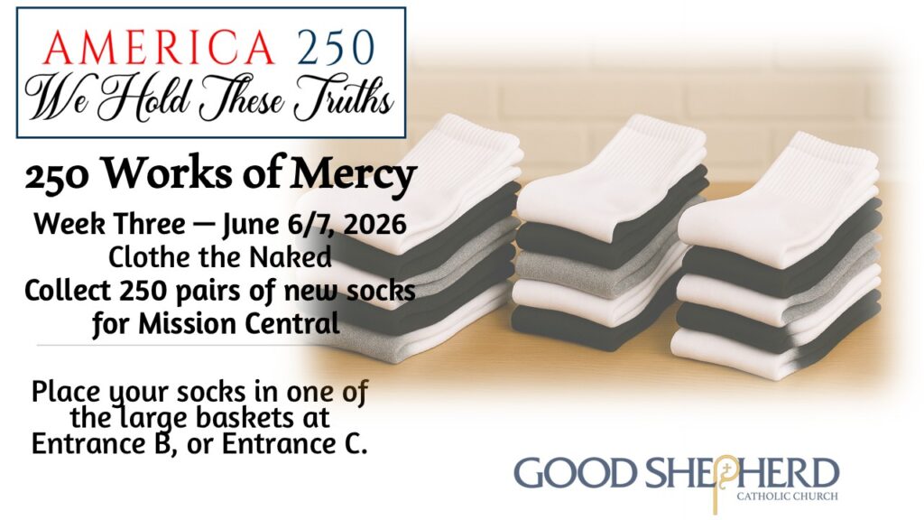 America 250 Works of Mercy