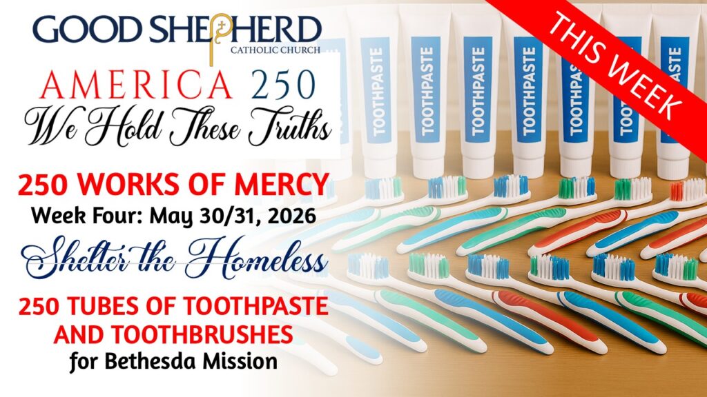 America 250 Works of Mercy